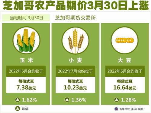 芝加哥農產品期價3月30日上漲，市場動態及影響因素分析